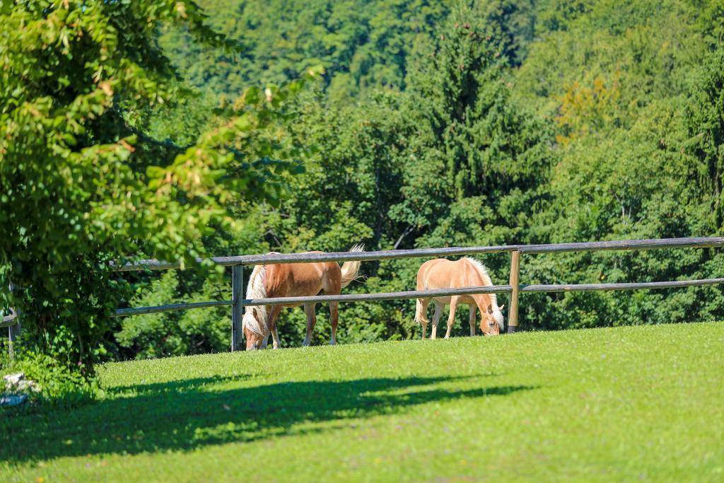 洛什科 Country House Na Skaluc旅馆 外观 照片